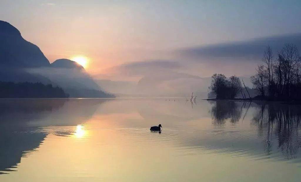 懂的含义，懂得意思?