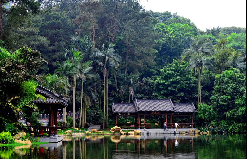 梧州南到梧州骑楼街_梧州天气_梧州