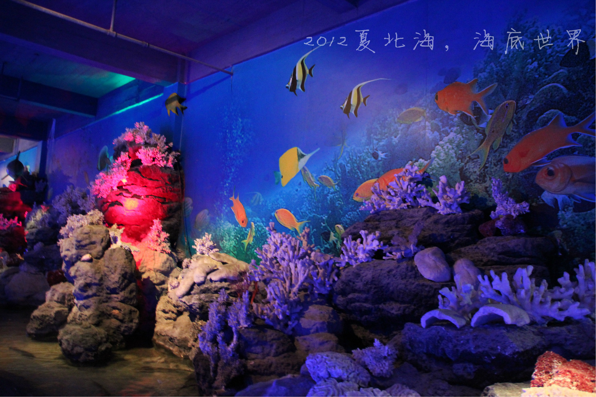 中国十大濒临海湾城市，你去过几个？！