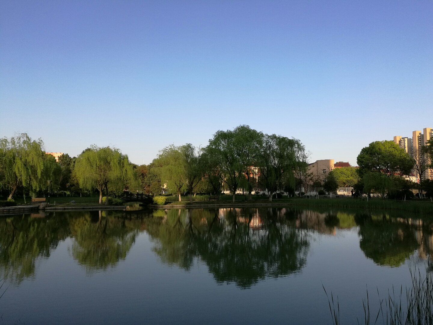 海宁的特产和特产有什么区别?海宁市特产大全(图2) 海宁天气海宁天气_海宁皮草城在哪里_海宁