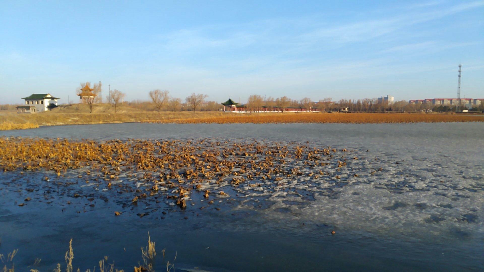 红色文化六烈士血洒肇州1945年12月中共哈西分配五名同志到肇州工作