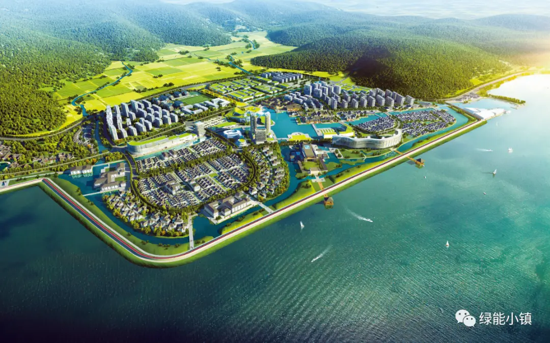 苍南龙港新闻_苍南县_苍南