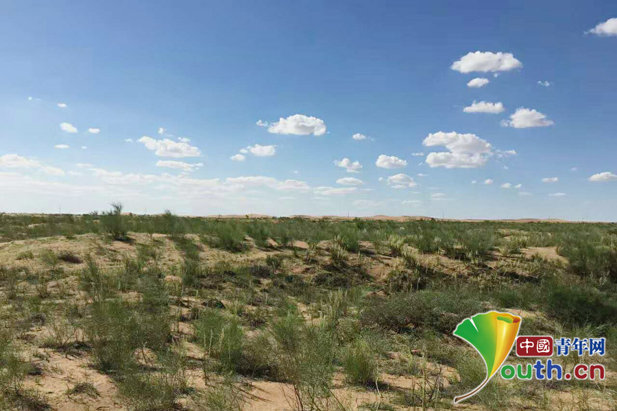 内蒙古阿拉善盟2023年飞播造林任务宣告结束