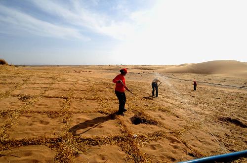 阿拉善盟盟_盟阿拉善左旗_阿拉善盟