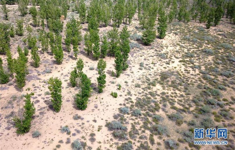 阿拉善盟盟_盟阿拉善左旗_阿拉善盟