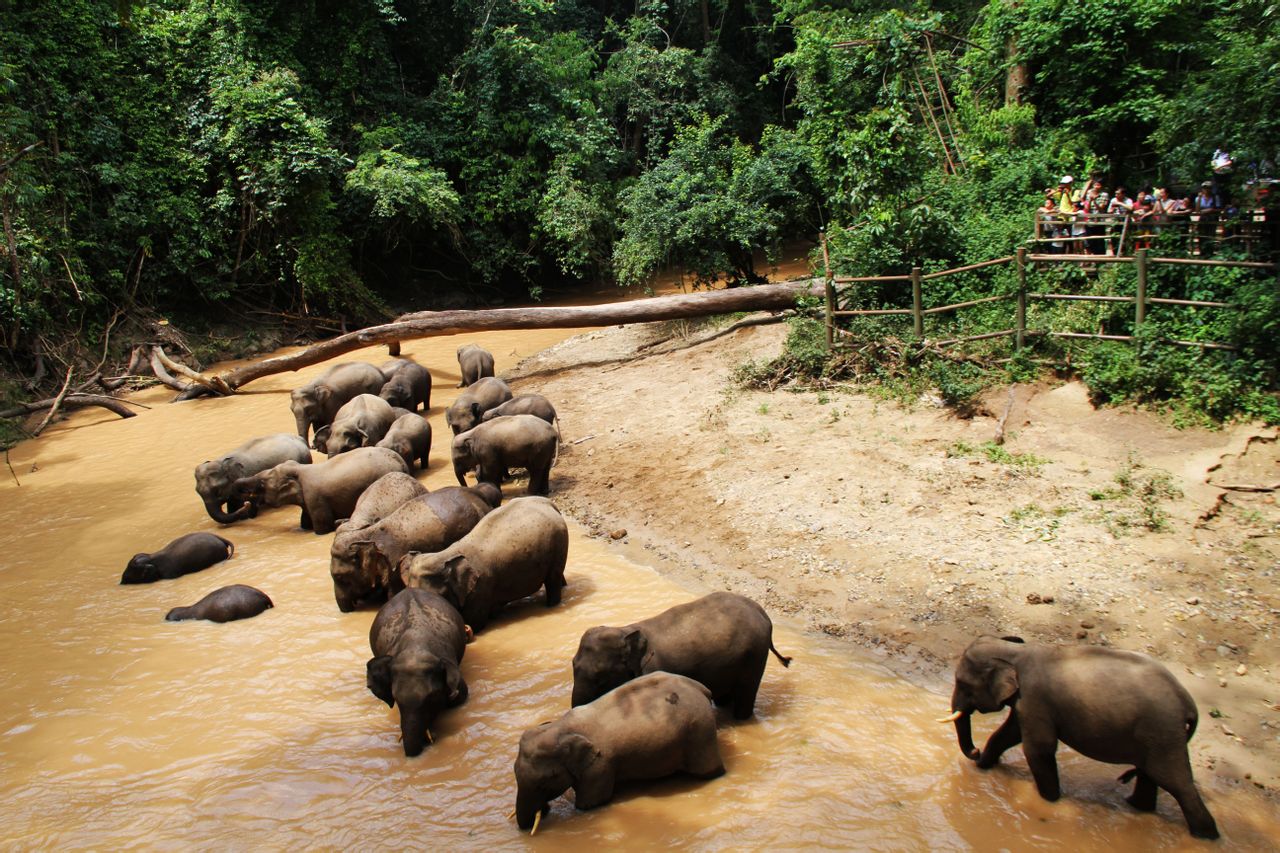 西双版纳国际机场_西双版纳电影院_西双版纳