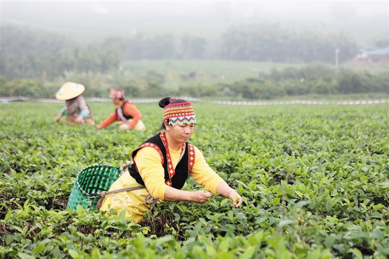 白沙_白沙烟_白沙古镇