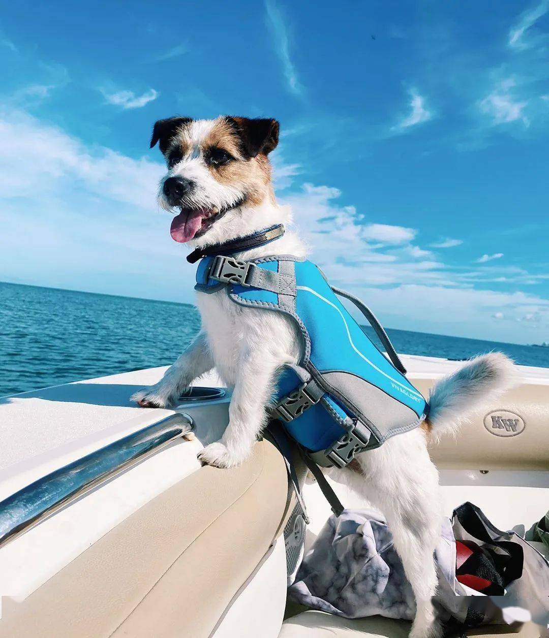 适用于情侣之间爱意满满的亲昵称呼以及冒粉红泡泡(图3) 对男情人的爱称有哪些_男情人怎么称呼好听_情人之间爱称男