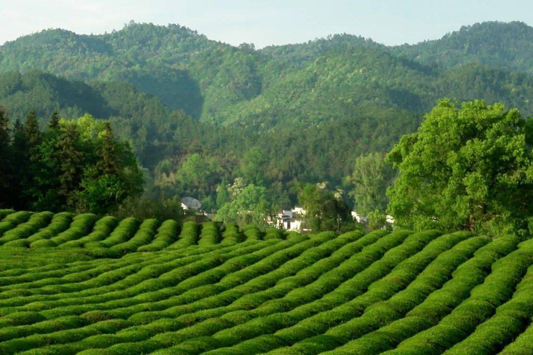 金华_金华五中到金华南站_金华天气