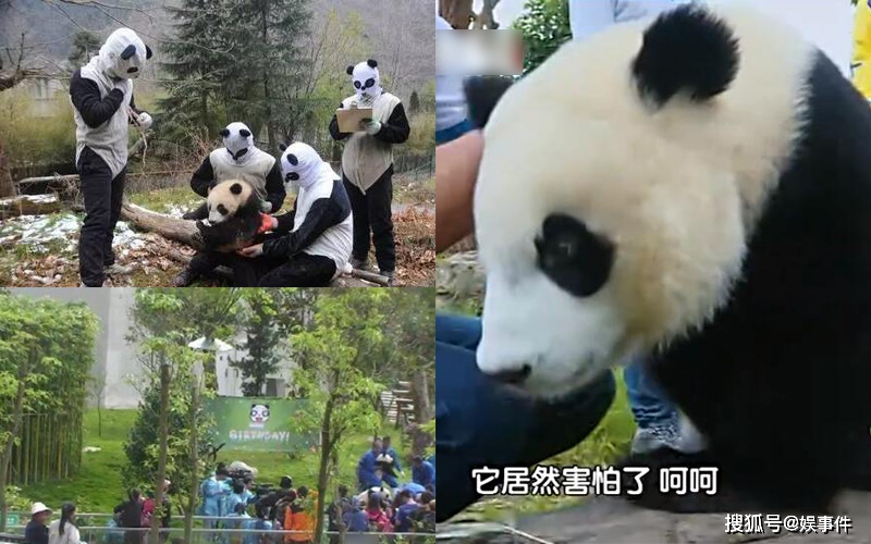 网红：_红网湖南_红网论坛