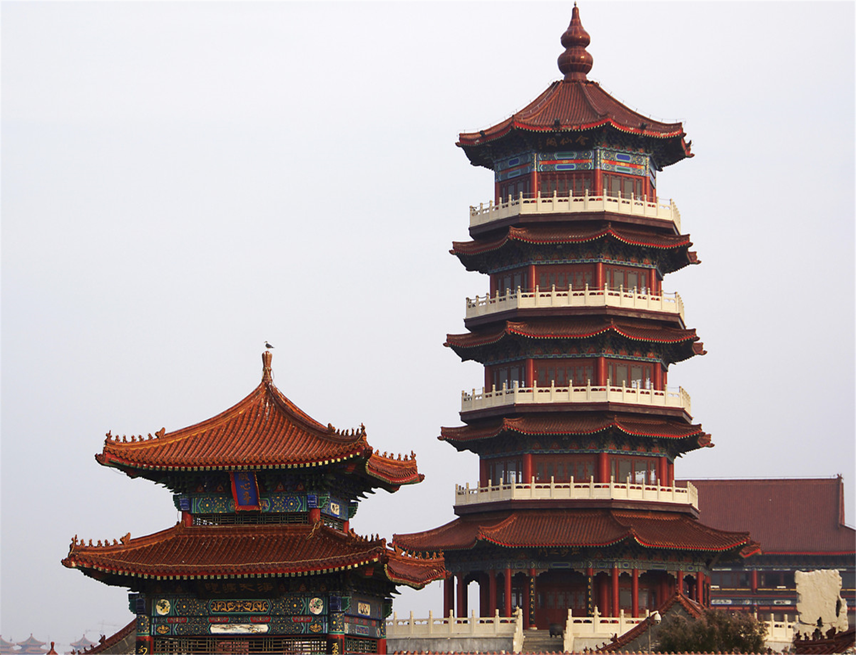 蓬莱李海峰_蓬莱_蓬莱客