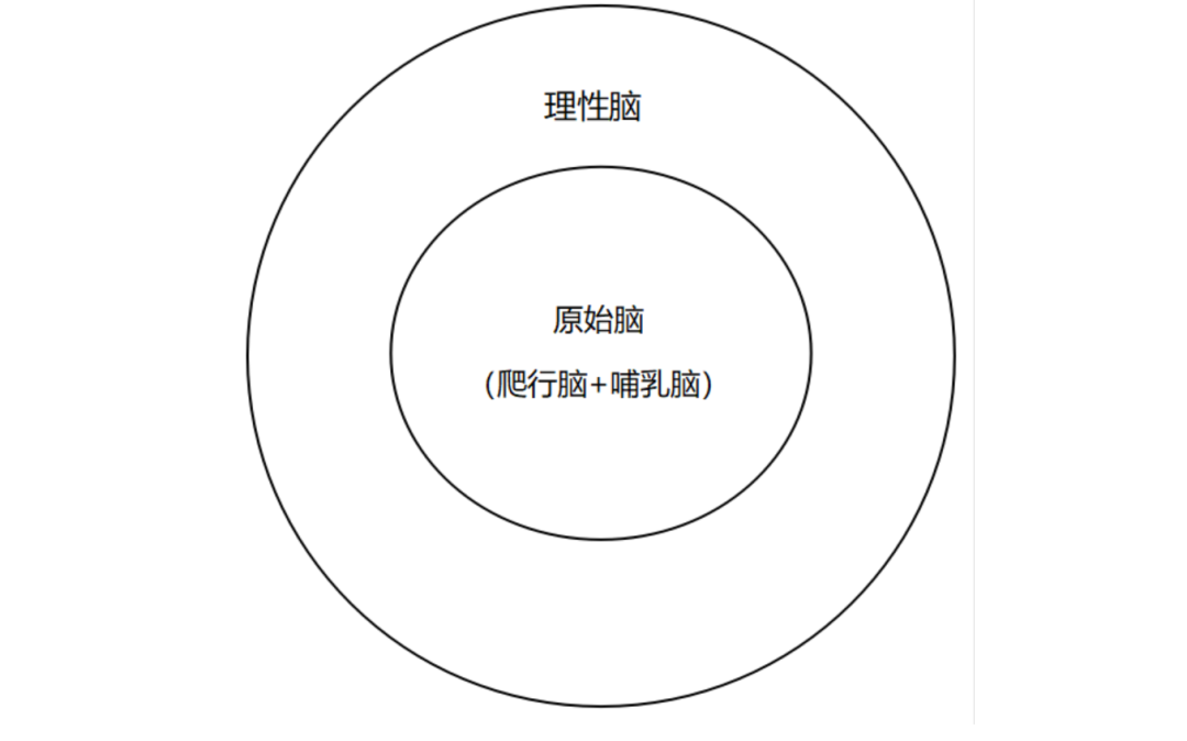 定位地址怎么设置自己位置_定位：_定位怎么设置位置