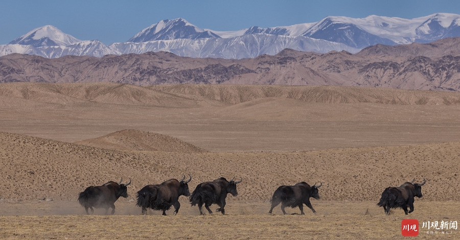 甘孜_甘孜藏族自治州_甘孜人事