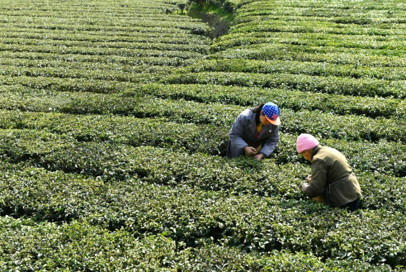 恩施天气预报_恩施_恩施在哪里属于哪个省