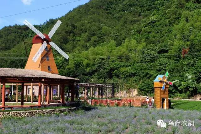 义乌开展汽车消费补贴活动_义乌_义乌小商品批发一手货源