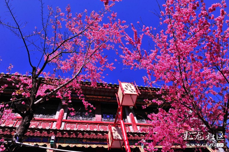 贵州安顺安顺一中_安顺天气_安顺