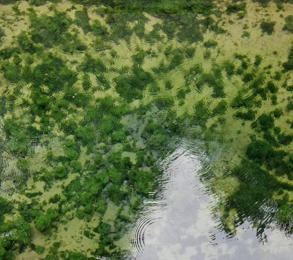 安徽省地理标志产品之一——“豆腐故里”