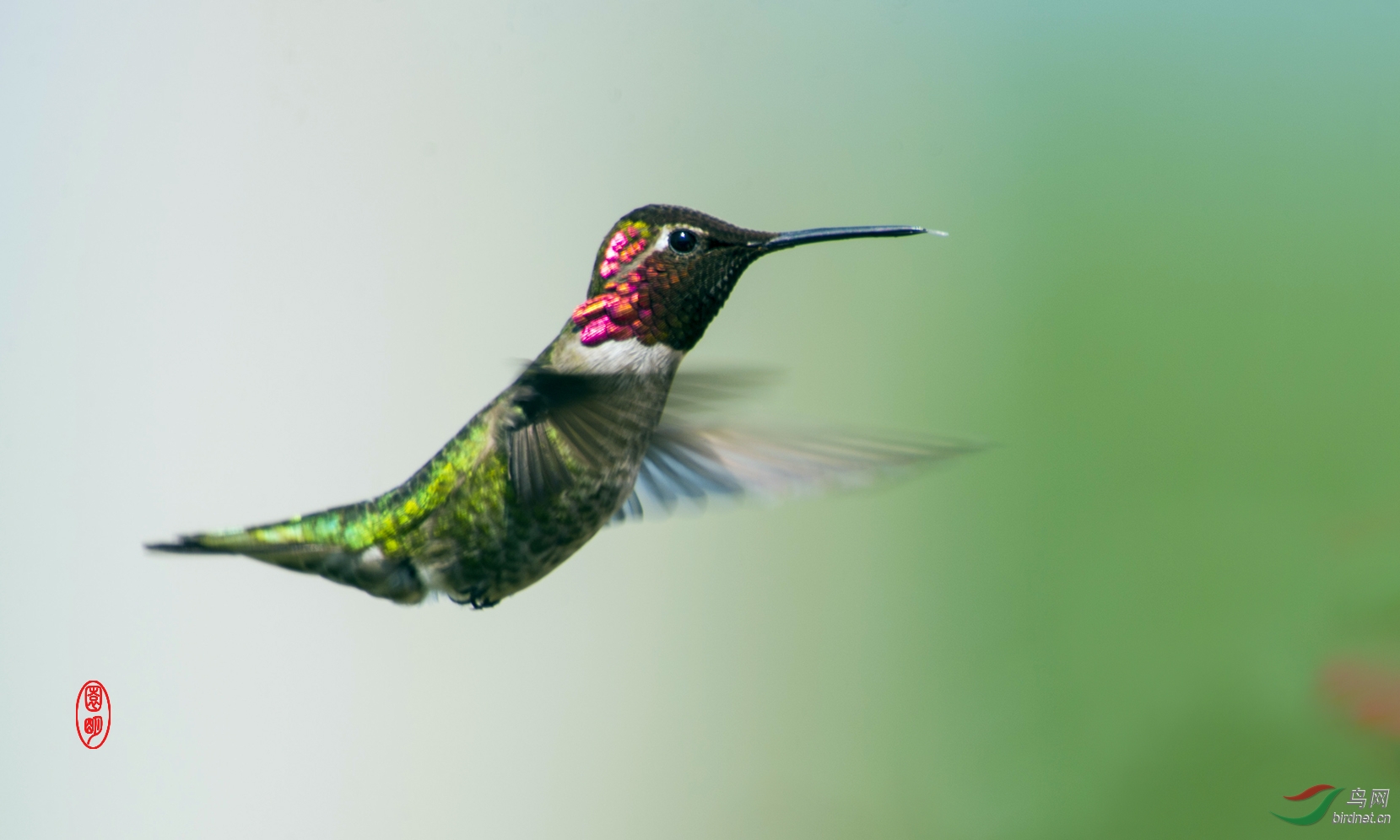 首届“雄安之夜”在雄安郊野公园明月湖畔惊艳亮相