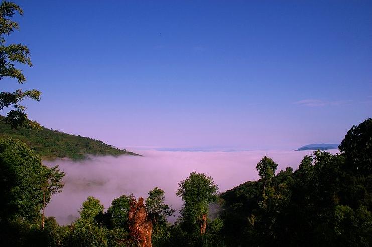 “飞‘阅’自然保护区”系列报道