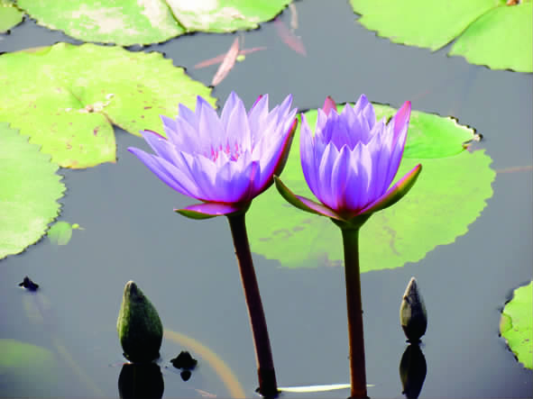 如东_如东县_如东天气