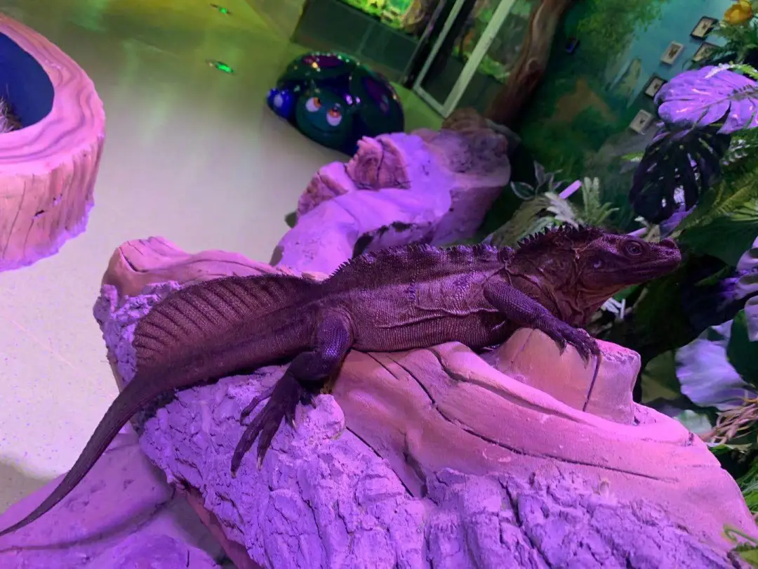 燕郊seo_燕郊律师_燕郊