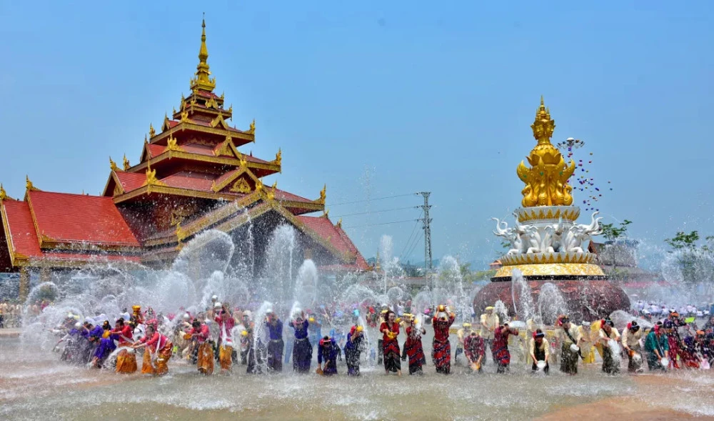 走进热带雨林，来一次奇妙的冒险之旅吧！