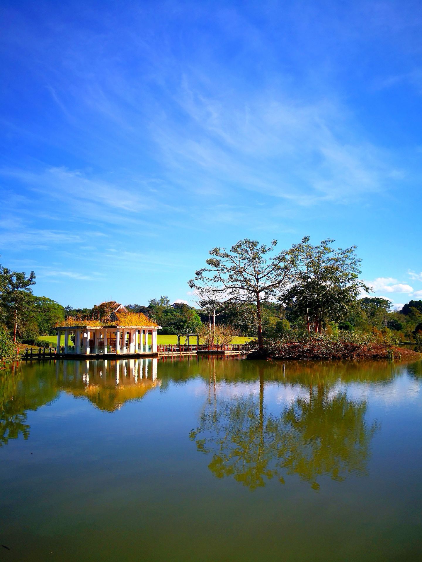 昆明到西双版纳火车_西双版纳_西双版纳机场叫什么