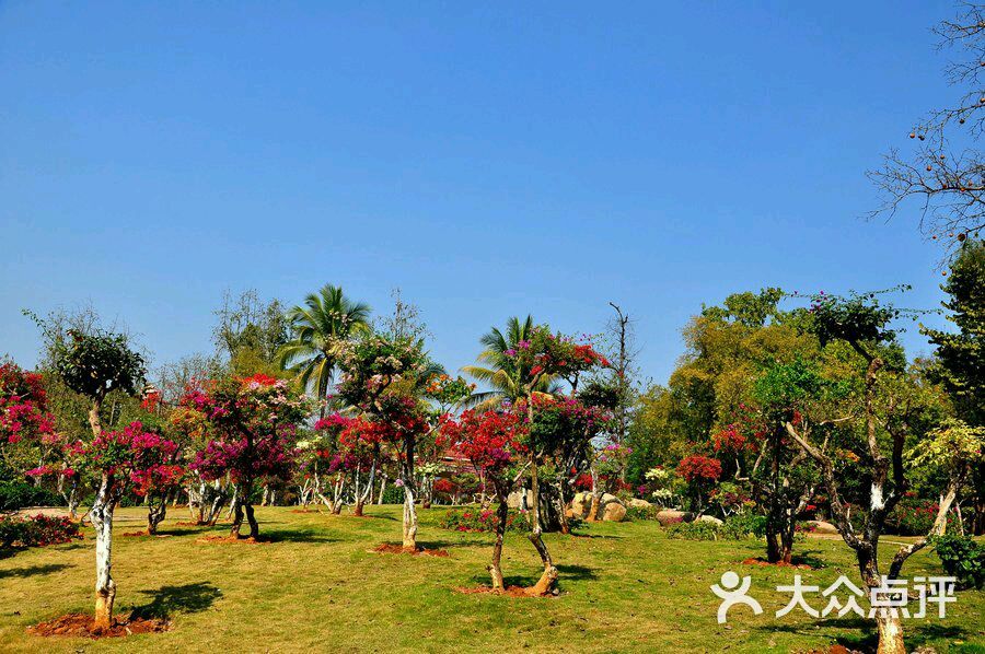 西双版纳_西双版纳机场叫什么_昆明到西双版纳火车