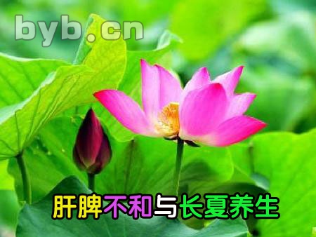 养生：_养生壶_养生：