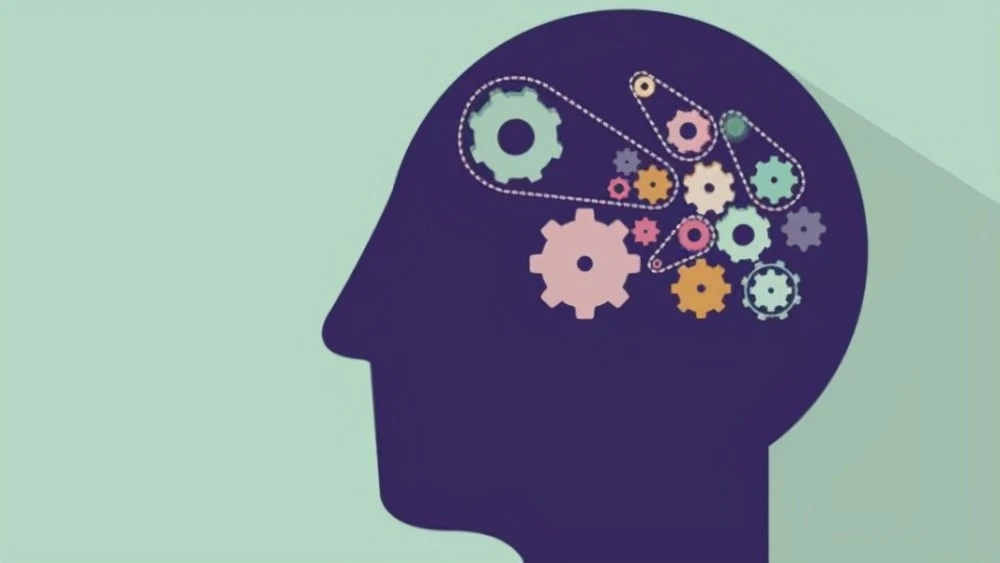 图像记忆与机械记忆_记忆：_记忆碎片