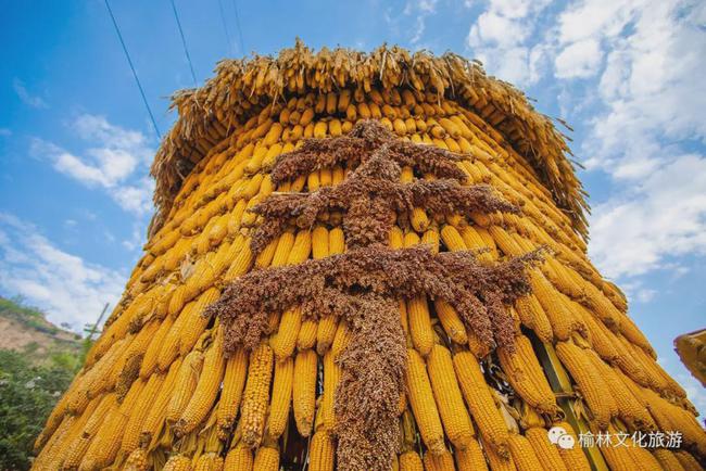 从陕西榆林回到江苏宿迁市沭阳县，让我深刻体会到家乡的独特魅力