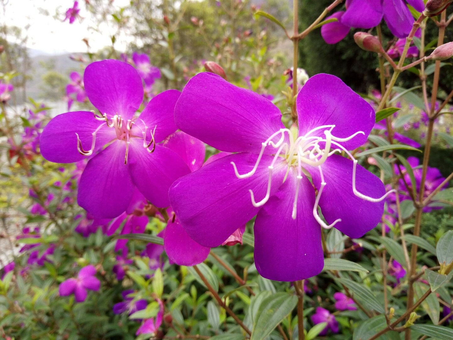 揭阳包括哪些县市揭阳市?揭阳有哪些?怎么样?