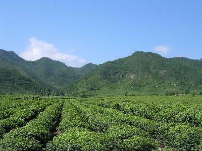 金华天气_金华金华兰溪天气预报_金华