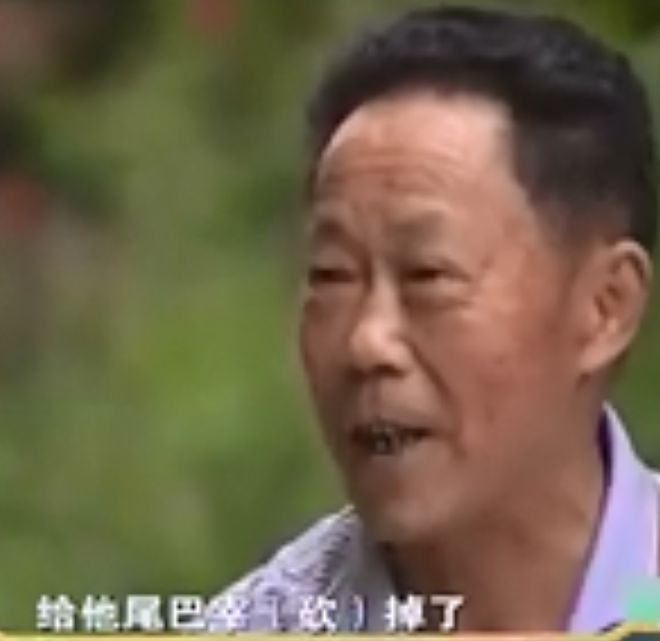 空中箫鼓声不知道以后什么时候再也没来！