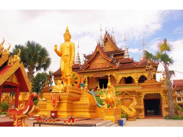 美人云南是我国少数民族最多的省份，56个民族56朵花