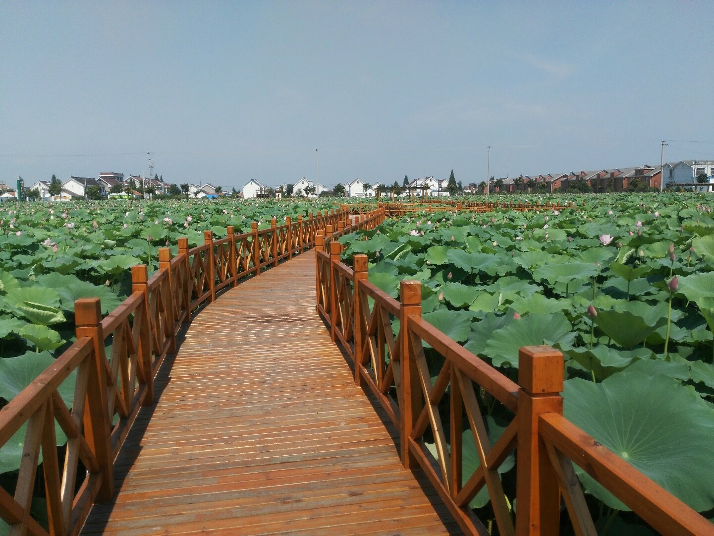 如皋_如皋网友之家如皋_如皋医院