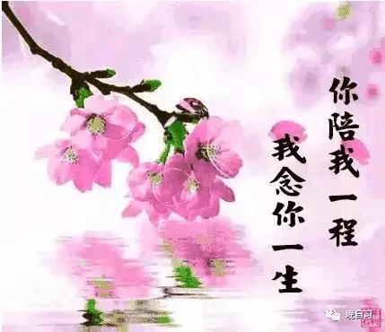 真正的爱情，就是相濡以沫，患难见真情