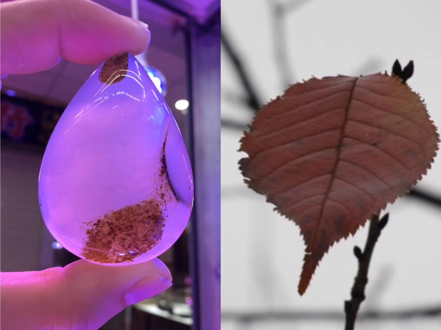 海洋玉髓欣赏玛瑙和玉髓的区别，你知道吗？