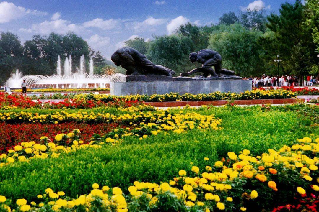 石河子市的学校有哪些？（石河子篇）