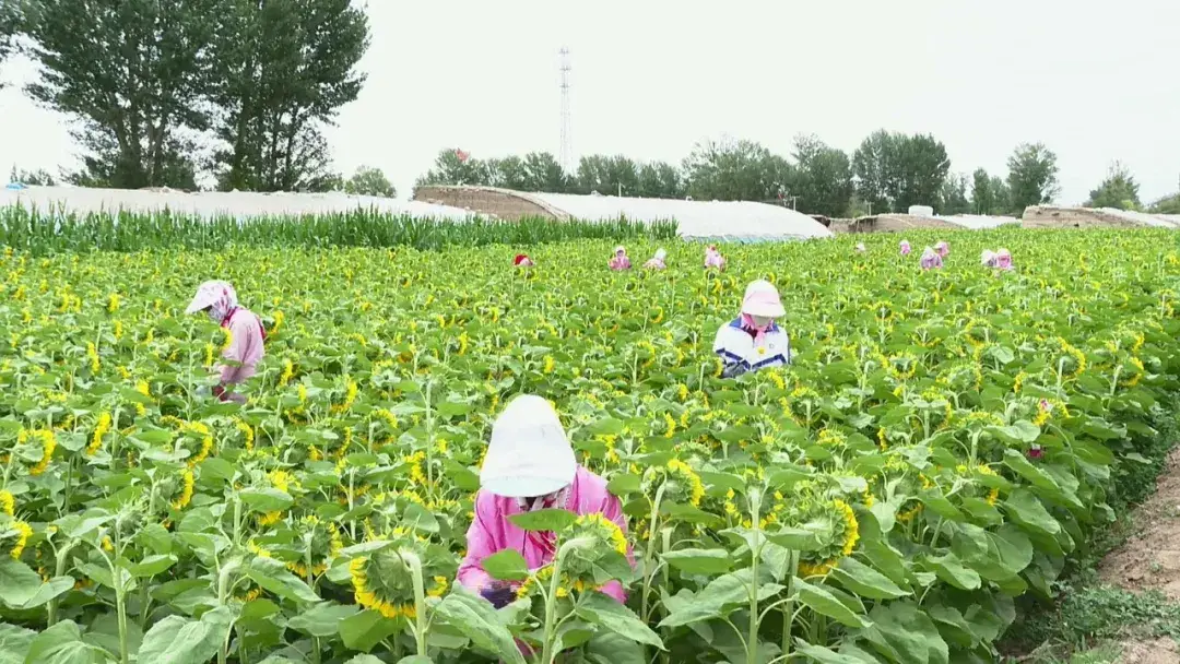 咸阳_咸阳西站是咸阳秦都吗_咸阳天气