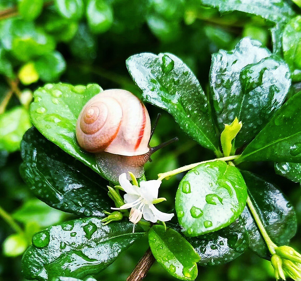 在外国卖的好国货化妆品十大排行,你知道吗?