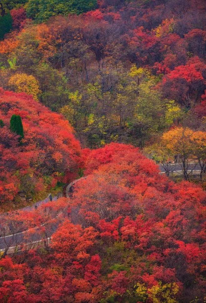 四川省各市州GDP排行榜，你的家乡上榜了吗？