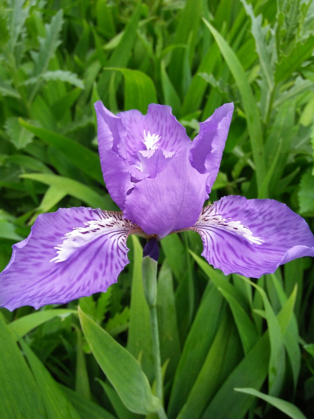 徐州属于哪个省_徐州天气_徐州