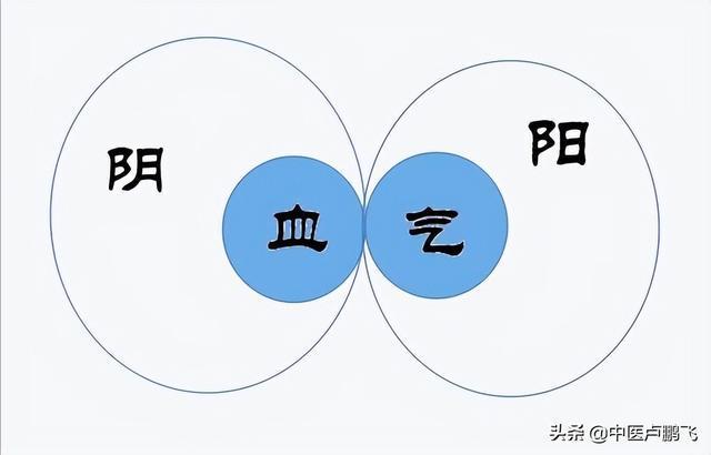 养心即养神壹心神和形质的合体