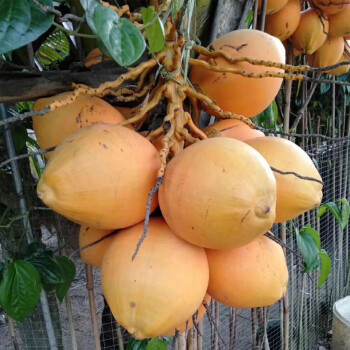 琼海网_琼海_琼海天气琼海龙江天气