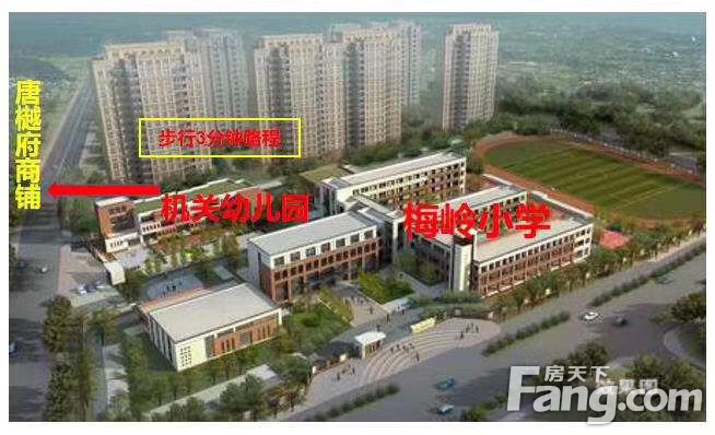 国外留学，也成了重灾区！（深度好文）