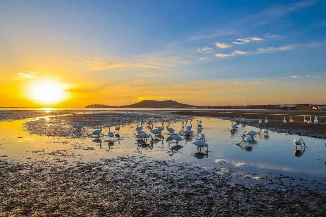 威海_威海酒店_威海最新天气