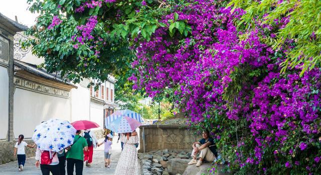 既然不快乐又不喜欢这里，不如一路向西去大理