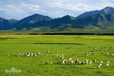 (百帆假期旅行管家)张掖有哪些旅游景点?(图2) 张掖天气预报_张掖_张掖技术合同成交额开门红