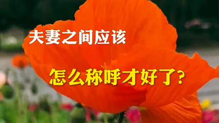 情人之间爱称男_男情人怎么称呼好听_对男情人的爱称有哪些